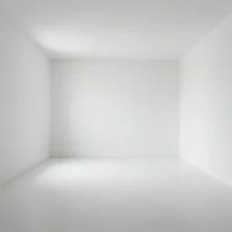 empty white room