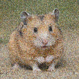 a ripped hamster