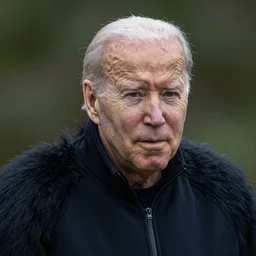 a portrait photograph of Joe Biden as a great ape, DSLR photography