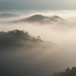 professional photo of beautiful landscape, volumetric fog and lighting, 8k, cinematic composition