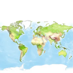 a world map