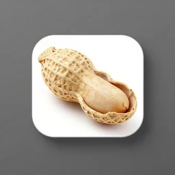 an peanut with faind food written on it. app logo. logo
