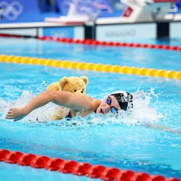 Teddy bears swimming at the Olympics 400m Butterfly event.