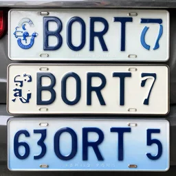 bort license plates