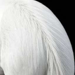 unicorn fur under a microscope, 2 0 0 x magnification