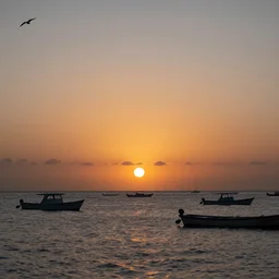 sunset on caraibes, some boats, a few birds in the sky, sharp focus, photography 35 mm lens, paisible night lighting, incredible art photo shot