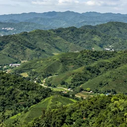 A photo of a huge detailed landscape, 8k, 4k photorealistic