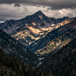 olympic national park by kilian eng