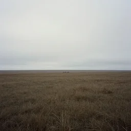 a landscape by edward burtynsky