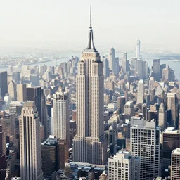 a forest of empire state buildings