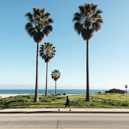 California but nice. Photographic, photography