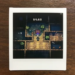 polaroid of a roguelike