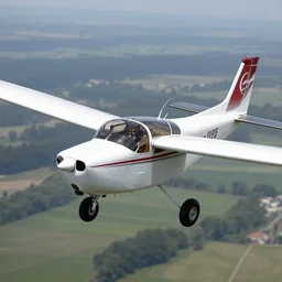 chihuahua flying a cessna plane