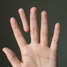 hand photography, discernible hands with thumb and 4 fingers