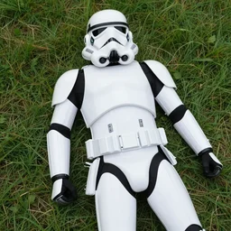 a stormtrooper laying on top of a grass covered field, a picture by simon gaon, instagram contest winner, naturalism, majestic, handsome, associated press photo