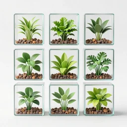 composition of nine square boxes with different plants forms, diorama, front view, led lamps, coral reef, tremella fuciformis, leaves, romanesco broccoli, abstract sculpture, octane render