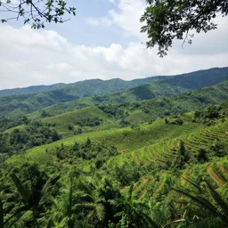 a beautiful landscape that captures the natural beauty of the world around us