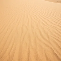 sand in a dessert