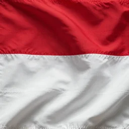 flag red in top and white in bottom