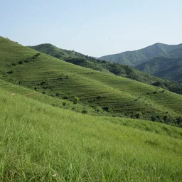 a landscape