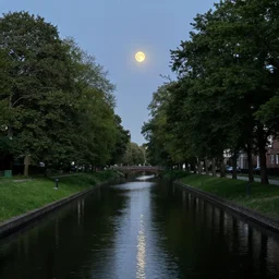 moon over canal, next to the canal there are trees and grass