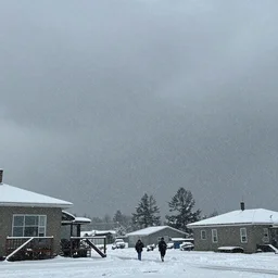 a snowstorm with blood raining from the sky