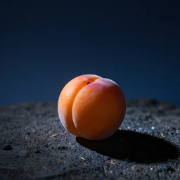 apricot in the space