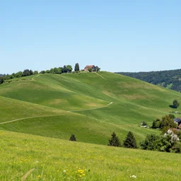 Hills around Heidelberg, Germany, holiday photo