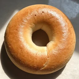 there is a giant bagel blocking the sun