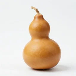 a gourd mixed with amber heard intercross hybrid mix intercross hybrid mix