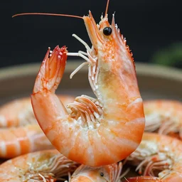 a shrimp flexing. big biceps.