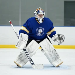 ice hockey goalie with a broken stick