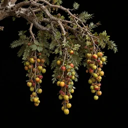branches with low hanging fruits, solid black background by james gurney, concept art, intricate, hyper detailed, sharp focus, octane render, trending on artstation, 8 k