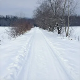 the snow - covered path was no help in finding his way out of the back - country. painted