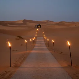 chrome path in the desert on the path lined up standing torches, tiny house in the distance, 8 k photography, detailed