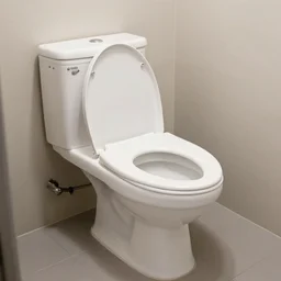 toilet car