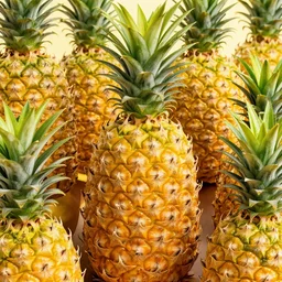 pineapple dimension