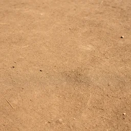 dirt ground