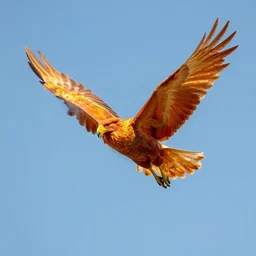 phoenix flying