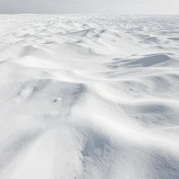 highly detailed wide angle profesional photo of white colored landscape, art by greg rutsowski, concept art, 8 k detail post - processing