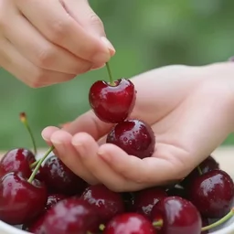 someone overdosing cherries, photorealistic