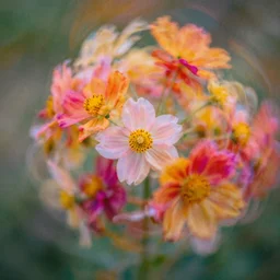 grainy double exposure photograph of vibrant dreamy flowers in motion, in volumetric lighting, light leaks, intricate, highly detailed