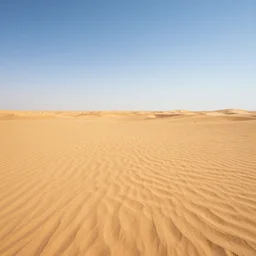 empty quarter,