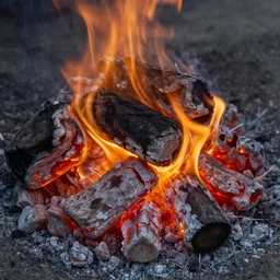 a pile of burning coald hot embers