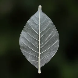 glass leaf