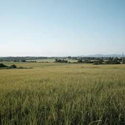 A 360° landscape