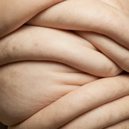 an abstract photograph of voluminous rolls of flesh, folds of belly flab, skin, veins, highly detailed, close up, even lighting