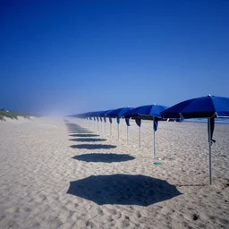 rows of open beach umbrellas lining a sandy cape cod beach, monsters shadow, fog, deep blue mood, contemporary archival color photograph print from the original negative, by stanley kubrick