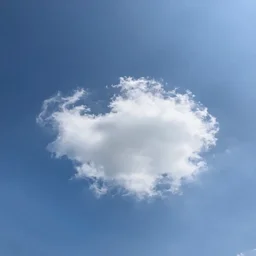 wide angle sky with # 8 virgin mary cloud in center