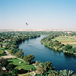 birds flying over the green lush nile river valley, a deep blue river runs through the egyptian valley, blue skies overhead, 35mm film photography
